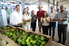 Paraguay exporta limón Tahití por primera vez: un hito para la agricultura familiar