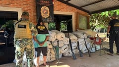 Desmantelan laboratorio de marihuana en Canindeyú