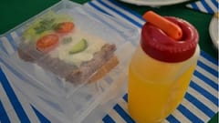 Salud recomienda qué alimentos llevar al recreo escolar