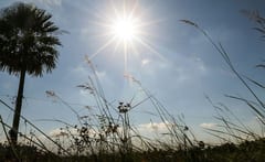 Persisten altas temperaturas con vientos del norte y chaparrones