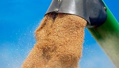 Paraguayan Wheat Exports Grow 76% at the Start of 2025