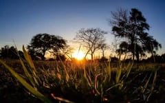 Domingo cálido y caluroso en gran parte del país