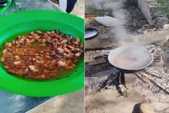 Gobernadores y MDS desoyen informe crítico sobre Hambre Cero