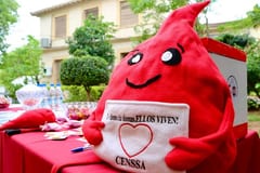 Campaña nacional de donación de sangre: dónde y cómo participar