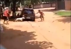 En Capiatá, un pitbull enfrentó a adictos armados ante la ausencia policial