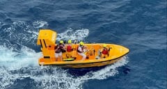 Padre salvó a su hija tras caer de un crucero Disney