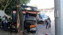 Bus de la línea 12 chocó contra un árbol en Mariscal López y dejó 18 heridos