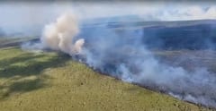 Fuego arrasa 600 hectáreas en el Bajo Chaco paraguayo