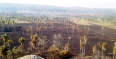Infona prohíbe el uso de fuego en todo el país por incendios