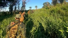 Fuerzas Armadas operarán en todo el país sin límites