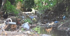 Falta de desagüe mantiene inundada zona de la Universidad Católica