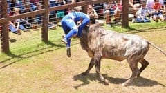 Diputados dejan fuera al torín del proyecto cultural