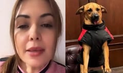 Canela ya tiene hogar: se queda con quien la salvó