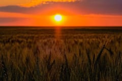 Vientos de hasta 90 km/h y calor persistirán en gran parte del país