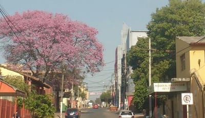 Anuncian clima fresco a cálido para este sábado