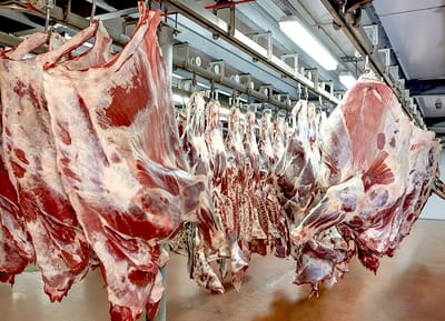 Titular del MIC retruca a embajador francés por carne