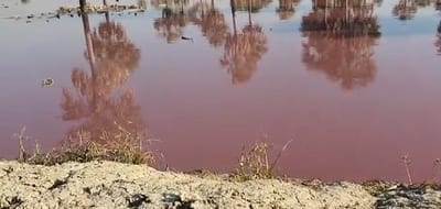 Fiscalía acude a curtiembre tras denuncia de cauce teñido de rojo