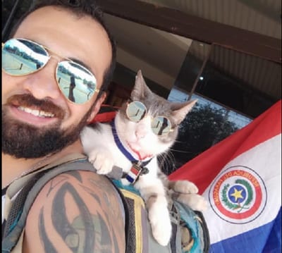 Facultad de Veterinaria descarta envenenamiento en muerte del “Gato Mochilero”