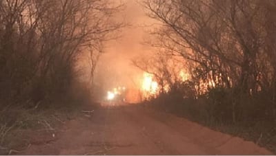 Los incendios son responsabilidad del ser humano, afirma el ministro Roa