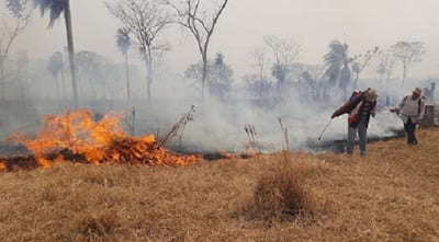 Panorama desalentador a causa de incendios forestales en San Pedro
