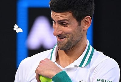 Deniegan ingreso a Australia a Novak Djokovic