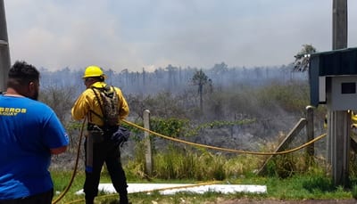 Incendio puso en peligro el peaje de la ruta Luque-San Ber, informan 