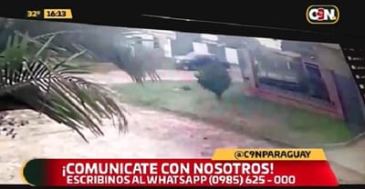 “Motochorros” son atropellados por conductor que observó asalto