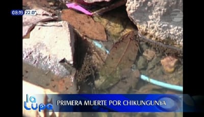 Casi todos los predios de Asunción y Central tienen criaderos del aedes