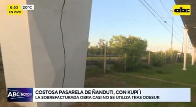 Termitas infestan la costosa pasarela de “ñandutí”
