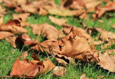 El otoño inicia este martes con un clima caluroso
