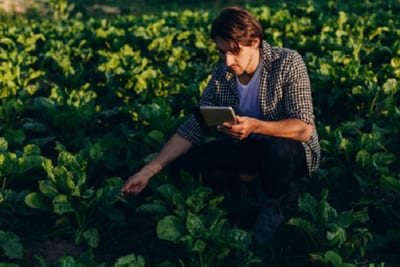 Llega CreaTech, un evento de innovación y tecnología agropecuaria