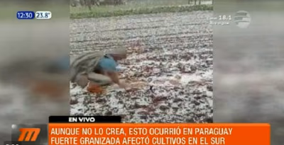 Productor pierde sus cultivos a raíz de intensa granizada en Hohenau