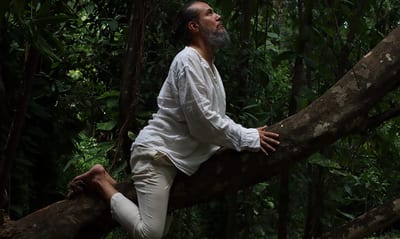 “Feral”: Una exposición que da voz a la fauna nativa en peligro