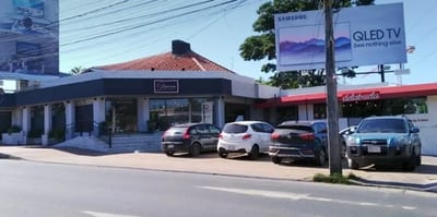 “Israel”, el pájaro rebelde que ataca a peatones en Asunción