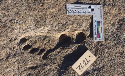 Pruebas científicas revelan presencia humana prehistórica en América