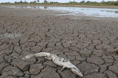 Peña crea comisión nacional contra desertificación y sequía