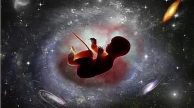 Empresa neerlandesa aspira a la concepción de bebés en el espacio