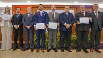 TSJE proclama a Berni y Bobadilla como representantes de abogados ante el CM