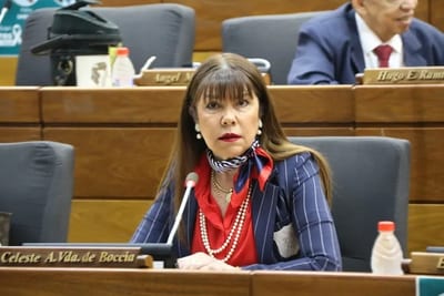 Celeste Amarilla cuestiona oficina de asesor del Congreso en casa de Cartes