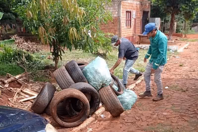 Día Nacional contra el Dengue: la lucha continúa
