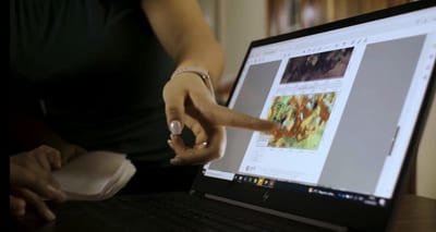 INFONA lanza sistema de alertas para combatir deforestación ilegal