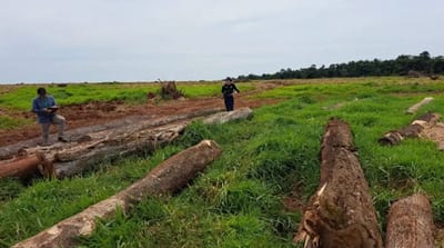 Irregularidades ambientales en exestancia en Caazapá