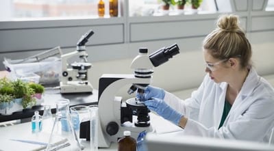 “Hambre cero” pone en riesgo investigación científica