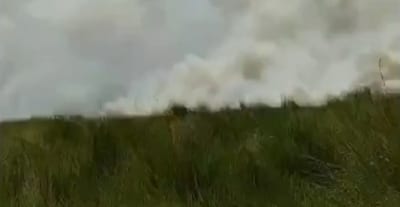 Fuego voraz afecta pastizales en San Bernardino