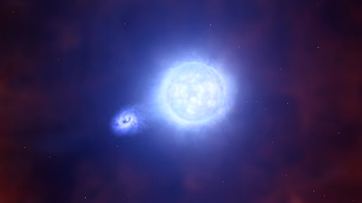 Supernovas: Clave en la creación de agujeros negros