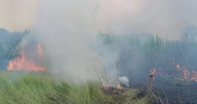 Bomberos advierten sobre graves incendios forestales en Aceval y ruta Luque