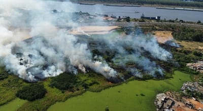 Banco San Miguel: el pulmón verde de Asunción en riesgo