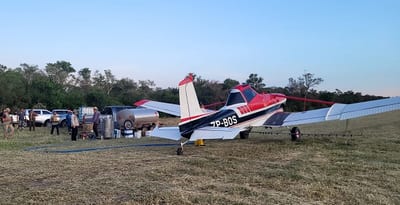 Senave repite fumigación aérea contra langostas en el Chaco