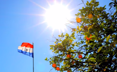 Domingo caluroso y sol pleno