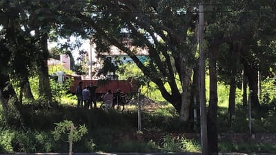 Comitiva fiscal investiga tala de árboles en “bosque” de San Vicente